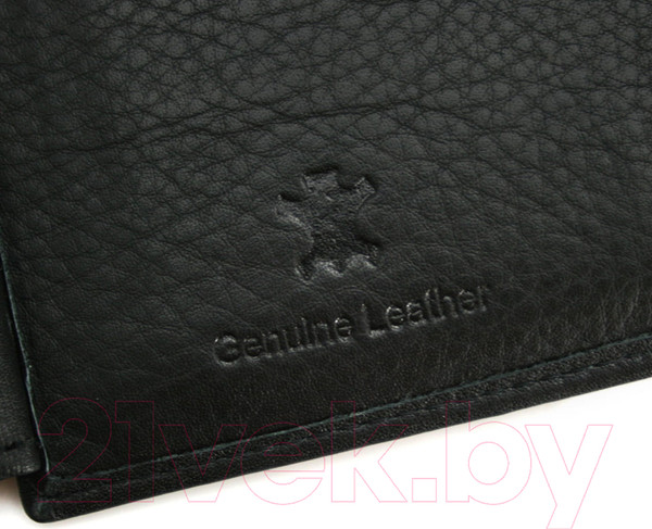 Изображение товара Портмоне Bellugio AM-101R-123