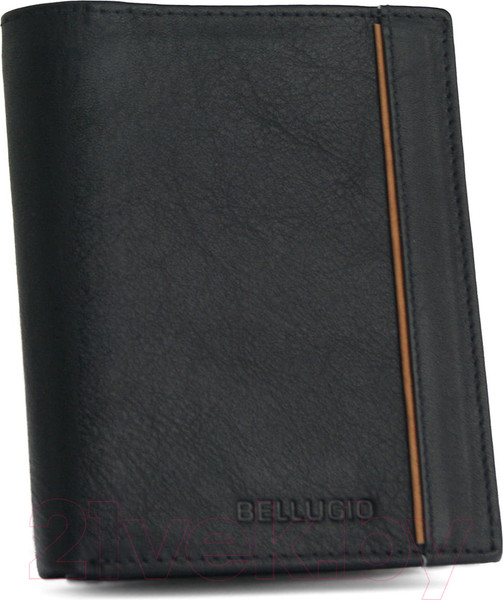 Изображение товара Портмоне Bellugio EM-96R-034