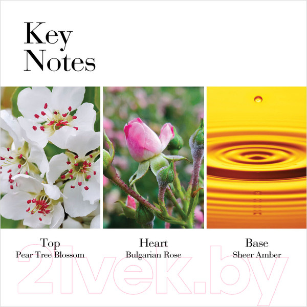 Изображение товара Туалетная вода Elizabeth Arden White Tea Wild Rose for Women (100мл)