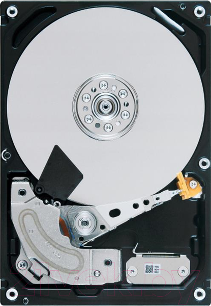 Изображение товара Жесткий диск Toshiba 10TB (MG06ACA10TE)