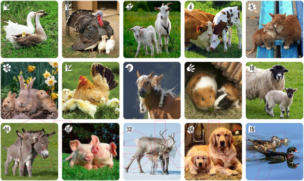 Изображение товара Настольная игра Нескучные игры Мемо Ми-Ми-Мемо Домашние животные / 8051