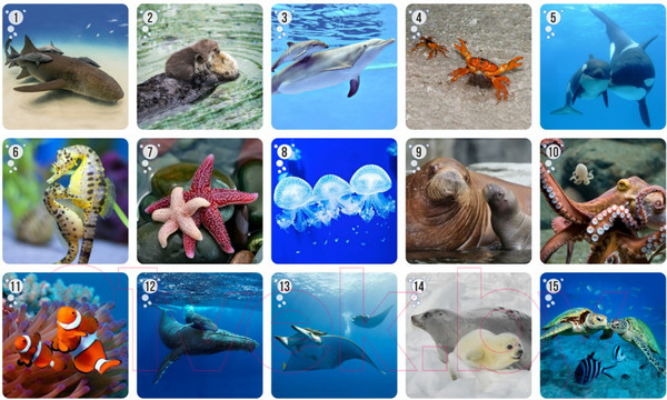 Изображение товара Настольная игра Нескучные игры Мемо Ми-Ми-Мемо Морские животные / 8053