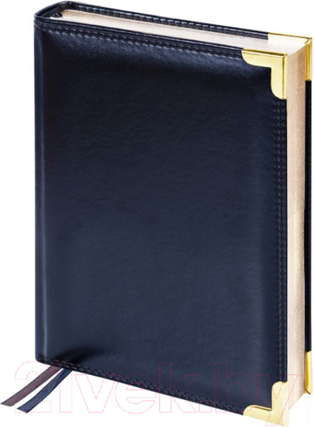 Изображение товара Ежедневник Delucci Недатированный / 89601 (черный)