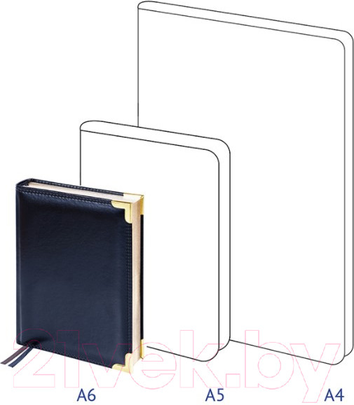 Изображение товара Ежедневник Delucci Недатированный / 89601 (черный)