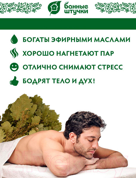 Изображение товара Банный веник Банные Штучки 32705