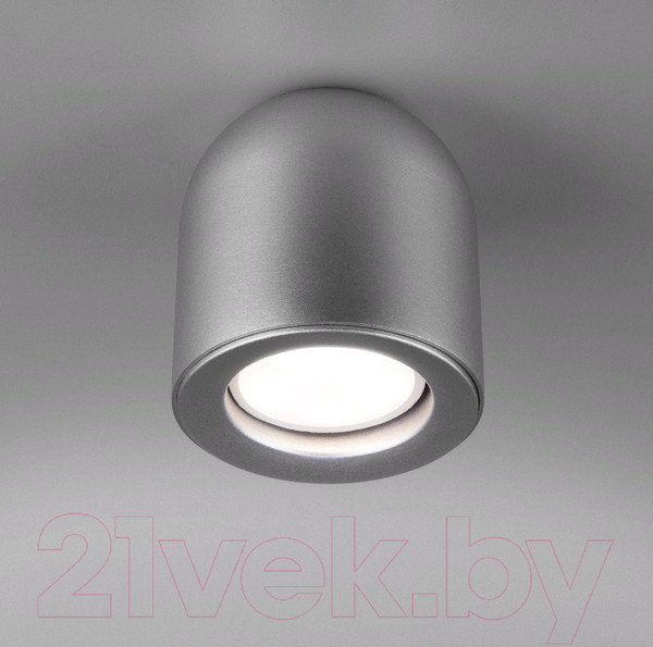 Изображение товара Точечный светильник Elektrostandard DLN116 GU10 (серебро)