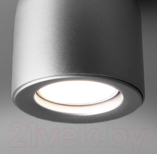 Изображение товара Точечный светильник Elektrostandard DLN116 GU10 (серебро)