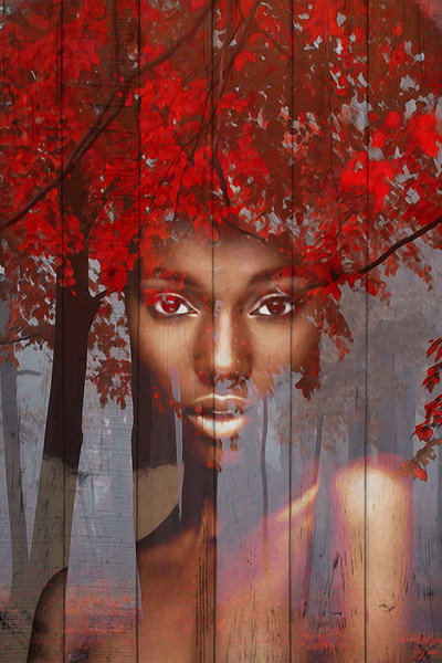 Изображение товара Картина White Wood B112-V-060-090-6.27