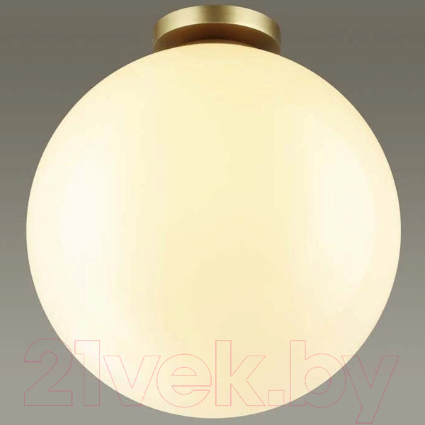 Изображение товара Светильник уличный Odeon Light Bosco 4250/1C