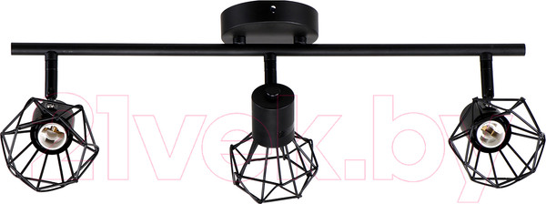 Изображение товара Спот Imex SP.021-63-81