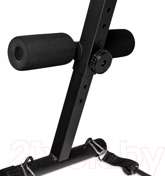 Изображение товара Скамья для пресса Alpin Grazia P-9