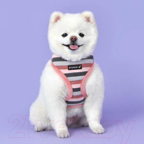 Изображение товара Шлея-жилетка для животных Puppia Bryson / PAUD-HA1844-IP-XL (розовый)