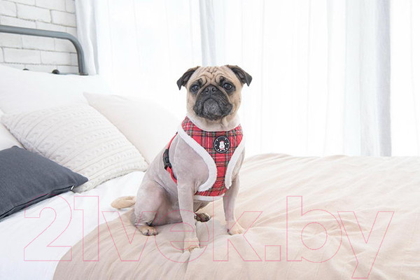 Изображение товара Шлея-жилетка для животных Puppia Blitzen-A / PAQD-AC1470-CR-S (красный/клетка)