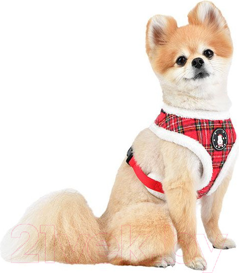 Изображение товара Шлея-жилетка для животных Puppia Blitzen-A / PAQD-AC1470-CR-S (красный/клетка)
