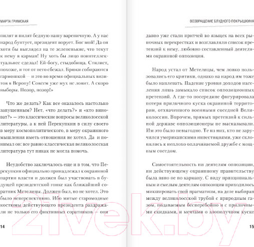 Изображение товара Книга АСТ Возвращение блудного Покрышкина (Гримская М.)