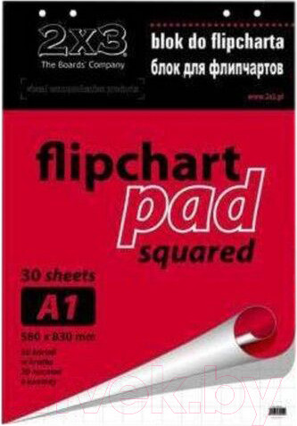Изображение товара Бумага для флипчарта 2x3 99х66см / B05 (20л)