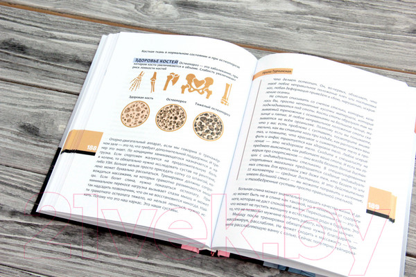 Изображение товара Книга АСТ Телософия: как мозг толкает тело (Турчинская И.)