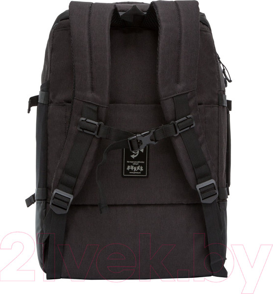 Изображение товара Рюкзак Grizzly RQ-019-21 (черный)