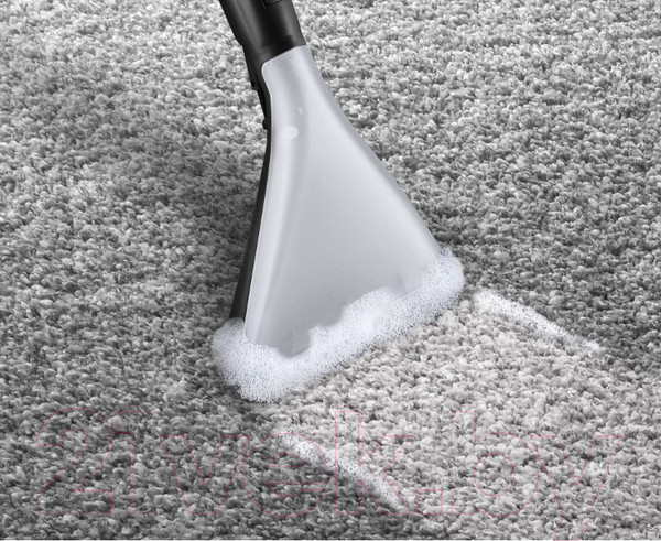 Изображение товара Пылесос Bosch BWD421PRO