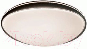 Изображение товара Потолочный светильник Leek Afina LE 061204-001