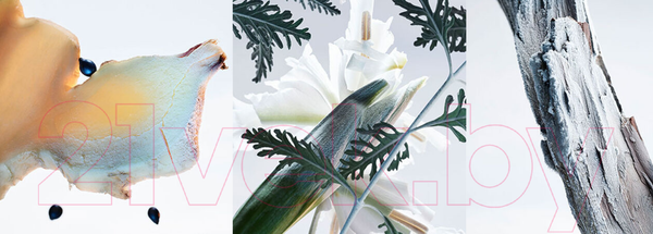 Изображение товара Парфюмерная вода Bvlgari Man Glacial Essence for Men (100мл)