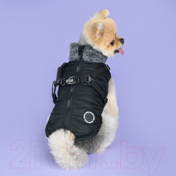 Изображение товара Куртка для животных Puppia Donavan / PAUD-VT1853-BK-XL (черный)