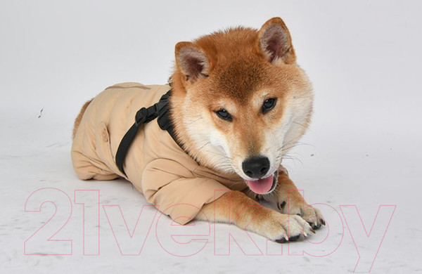 Изображение товара Комбинезон для животных Puppia Soft Onesie / PAUD-JP1677-BE-XL (бежевый)