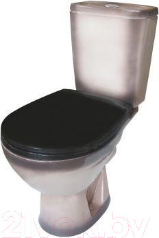 Изображение товара Унитаз напольный Rosa Соло (черный)