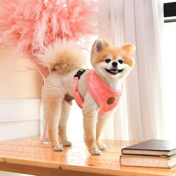 Изображение товара Шлея-жилетка для животных Pinkaholic Polina / NASD-HA7506-HP-L (розовый)
