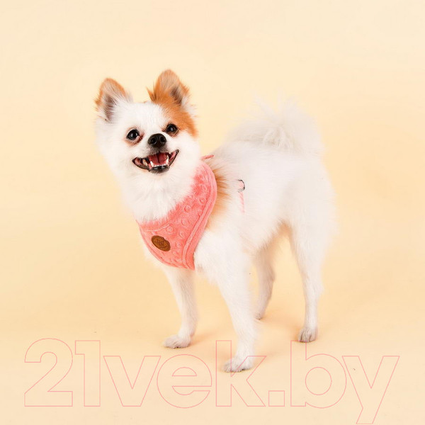 Изображение товара Шлея-жилетка для животных Pinkaholic Polina / NASD-HA7506-HP-L (розовый)