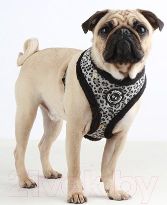 Изображение товара Шлея-жилетка для животных Pinkaholic Leo Pug / NAQD-AC7275-BK-M (черный)