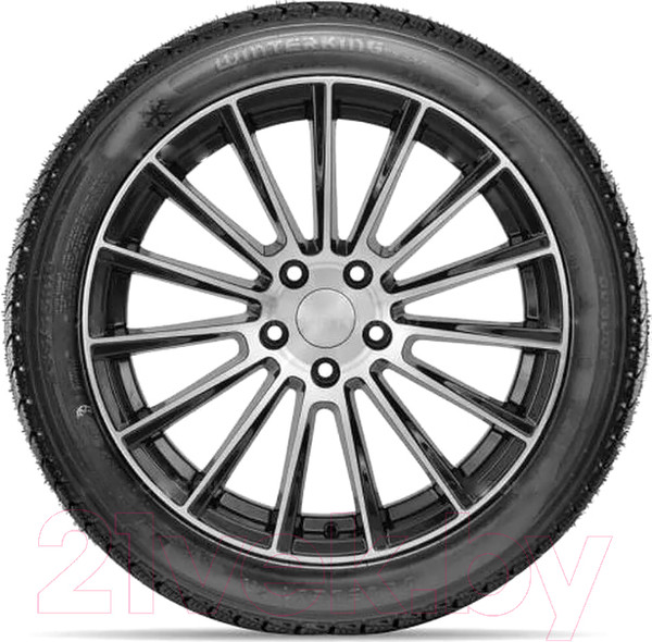 Изображение товара Зимняя шина DoubleStar DW02 255/45R20 105T