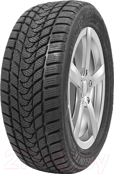 Изображение товара Зимняя шина Delinte Winter WD1 195/55R15 85H