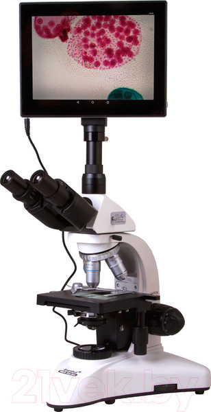 Изображение товара Микроскоп цифровой Levenhuk MED D25T LCD / 73995