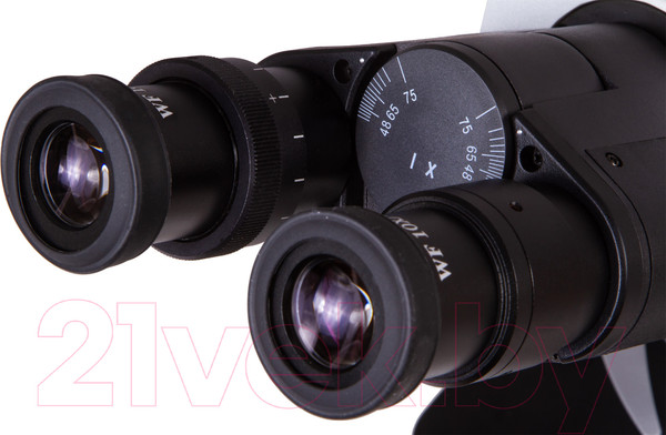 Изображение товара Микроскоп цифровой Levenhuk MED D30T / 73998