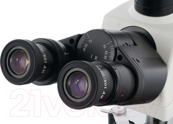 Изображение товара Микроскоп цифровой Levenhuk MED D40T LCD / 74006