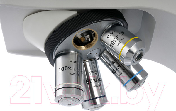 Изображение товара Микроскоп цифровой Levenhuk MED D40T LCD / 74006
