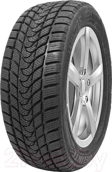 Изображение товара Зимняя шина Delinte Winter WD1 235/45R17 97T