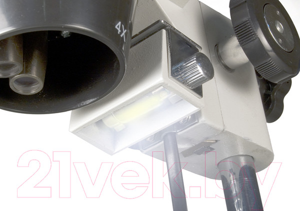 Изображение товара Микроскоп оптический Levenhuk 3ST / 35323