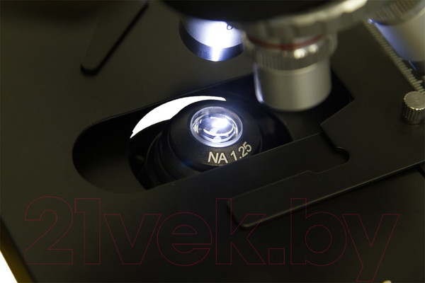 Изображение товара Микроскоп оптический Levenhuk 740T / 69657