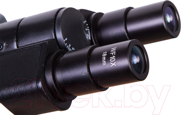Изображение товара Микроскоп цифровой Levenhuk D740T / 69658