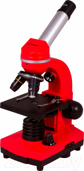 Изображение товара Микроскоп оптический Bresser Junior Biolux SEL 40–1600x / 74320 (красный)