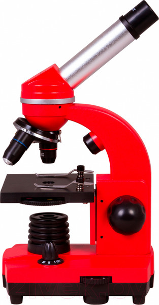 Изображение товара Микроскоп оптический Bresser Junior Biolux SEL 40–1600x / 74320 (красный)