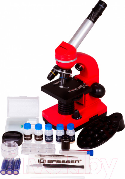 Изображение товара Микроскоп оптический Bresser Junior Biolux SEL 40–1600x / 74320 (красный)