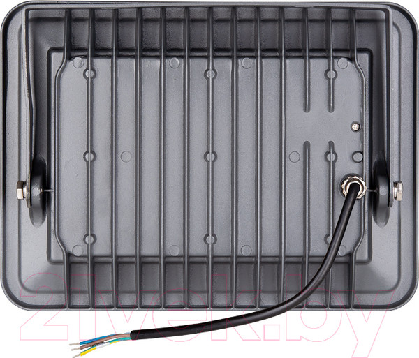 Изображение товара Прожектор Wolta WFL-100W/06