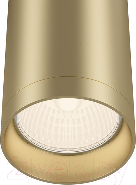 Изображение товара Потолочный светильник Maytoni Alfa C010CL-01MG