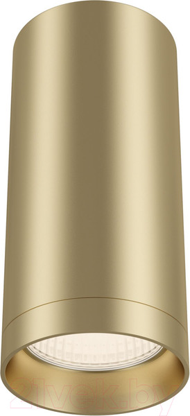 Изображение товара Потолочный светильник Maytoni Alfa C010CL-01MG