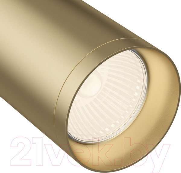 Изображение товара Трековый светильник Maytoni TR004-1-GU10-MG