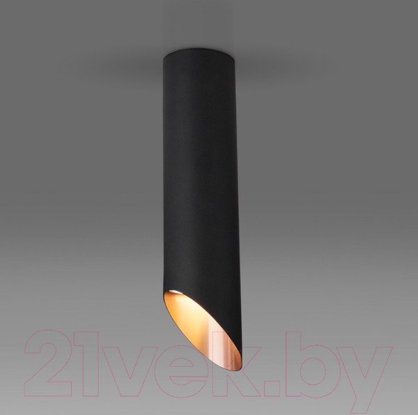 Изображение товара Точечный светильник Elektrostandard DLN115 GU10 (черный/золото)