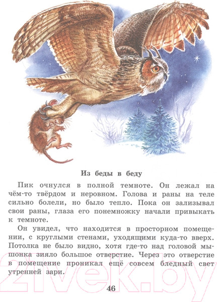 Изображение товара Книга АСТ Мышонок Пик. Сказки о животных (Бианки В.В.)